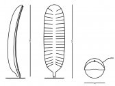 Светильник напольный SLIDE Banana Leaf Standing полиэтилен, металл Фото 2